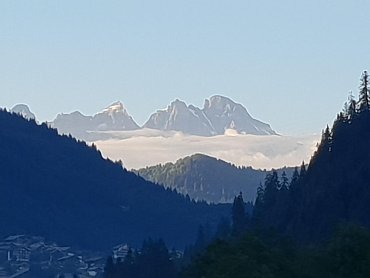 Chalet La Sapiniere Abondance Kültér fotó